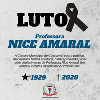 LUTO: FALECIMENTO DA PROFESSORA  NICE AMARAL.
